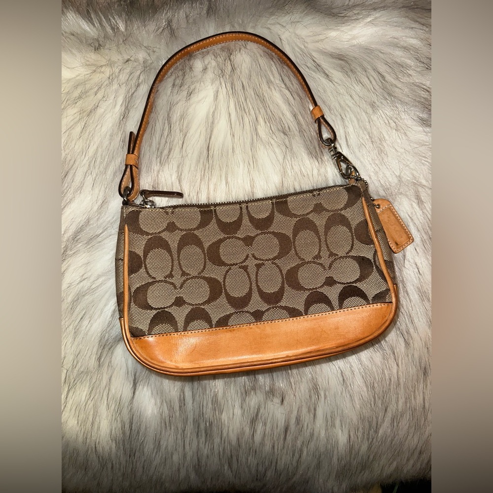 Coach Signature Demi Mini Bag
